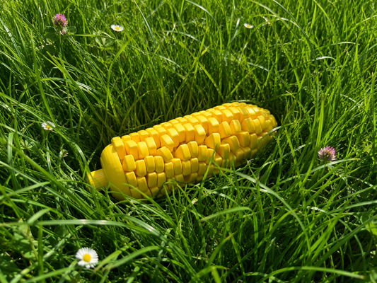 Maiskolbie 🌽